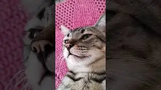 Posse para as fotos!                  