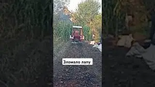 Викопав..зломало лапу #трактор #т25