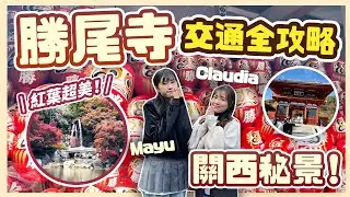 【大阪秘景】勝尾寺一日遊🇯🇵交通全攻略🚌楓葉季必去🍁達摩打卡聖地 ⛩️