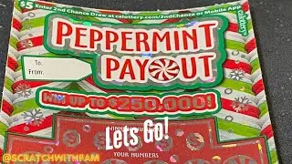 Peppermint Payout‼️#lottery #scratchofftickets #scratching #calotteryscratchers #like #subscribe