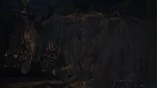 Bloodborne: Vicar Amelia Boss Fight