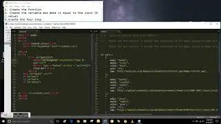 Tutorial JavaScript Exercise #5 display objects and include an image