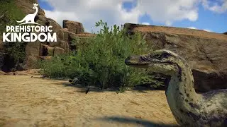 Velociraptor Exhibit Speed Build - Prehistoric Kingdom
