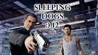 Sleeping Dogs №12
