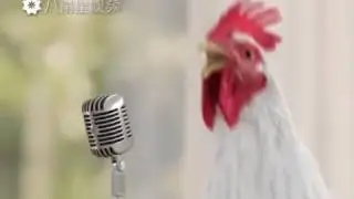 Песинка на китайском как поёт петушок!