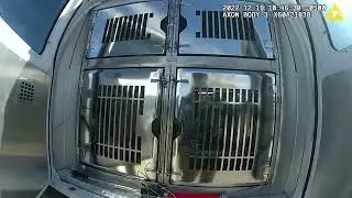 Hillsborough County Animal Control Saves the Day!