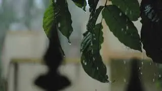 Royalty free rain footage without sound no copyright