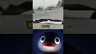 noot noot react 