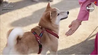 [LEGENDADO] BANGTAN BOMB: Tem um cachorro no Set com o BTS!