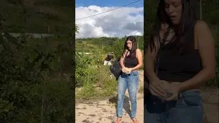 O MEU PLANO 👏🏻