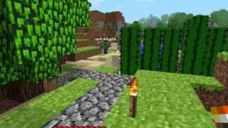 Minecraft - Online Play