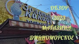 ❗️ДИВНОМОРСКОЕ В МИРЕ ЖИВОТНЫХ❗️ОБЗОР ЗООМАГАЗИНА❗️ЗОЛОТОЙ КАКАДУ❗️2023