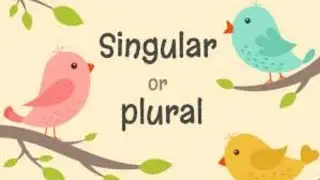 Explanation video on singular and plural nouns