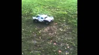 losi 5t