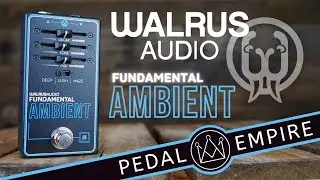 Walrus Audio Fundamental AMBIENT - Pedal Empire