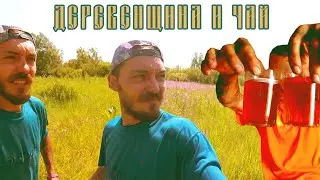 VLOG: ДМИТРИЙ ДЕРЕВЕНЩИНА И ИВАН ЧАЙ / МАЛЫШОВ ДМИТРИЙ