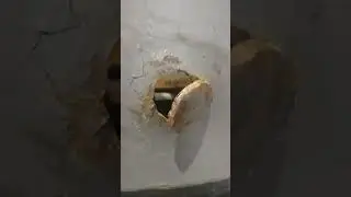 вот так бывает.