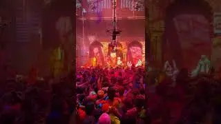 Holi at Banke Bihari Temple, Vrindavan 