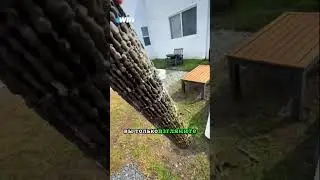 Почему важно чистить свой кондиционер 🤯😱