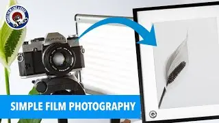 Simple Film Photography - One Shot one Frame