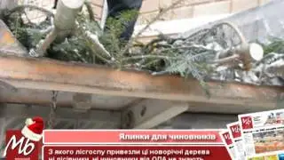 Чиновникам Чернівецької ОДА привезли "ліві" ялинки
