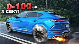 ПОТРАТИЛ 1 МИЛЛИОН РУБЛЕЙ НА Lamborghini Urus ЗА НЕДЕЛЮ. ЗАМЕРИЛ РАЗГОН ЛАМБЫ