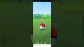 Catch Pokémon   