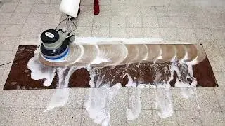 Satisfying carpet cleaning professionally rug washing