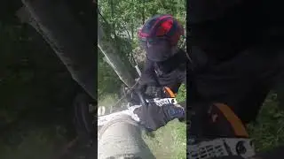 Как аккуратно спилить макушку дерева
