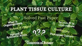 Plant Tissue Culture| Solved Past Papers| Concepts of Botany