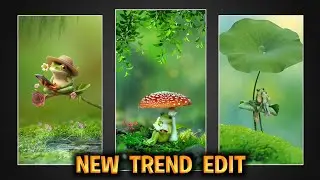 Instagram Trending Frog Fantasy Video Editing | Pinterest Tutorial 2024