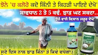 ਝੋਨੇ ਵਾਲੇ ਕਿਸਾਨ ਜਰੂਰ ਦੇਖੋ' ਝੋਨੇ 'ਚ ਕਲੋਰੋ ਕਦੋ ਕਿੰਨੀ ਤੇ ਕਿਹੜੀ ਪਾਇਏ ਦੇਖੋ • chlorpyriphos uses in paddy
