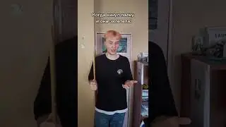кинул палку