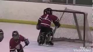 Best hockey vines of 2017!