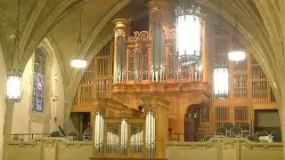Memorial Service Susanne Schmidt Boyer 11:00 Am - October 19th, 2024