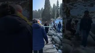 Doodhpathri / Valley of Milk / Top 10 Tourist place in Kashmir