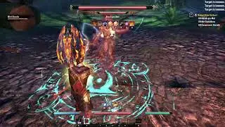 ESO, Elden Hollow 1, normal solo run with companion, bosses only