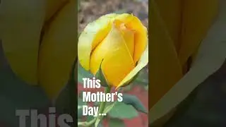 Mother's Day, the Adult Child's Most Dreaded Holiday