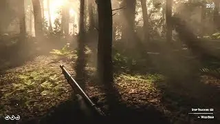 So this happened while boar hunting in RDR2