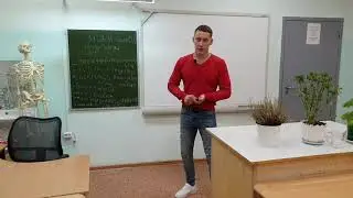 Белки. Функция белков в  организме. Что будет если отказаться от белков.