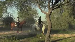 Mushrif Park Dubai (Lama Tours) - Lamadubai.com