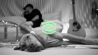 IDEA — SRÁT NA TO KDO JE KRÁL (OFFICIAL VIDEO)