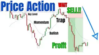 How To Spot TRAPS Using Price Action Rules