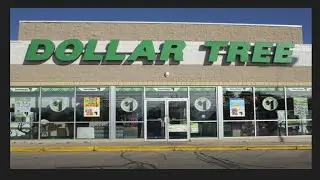 💙Dollar Tree Haul💙