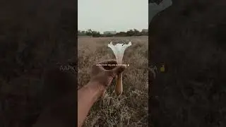 Jai shree krishna ❤️ #motivation #shortvideo