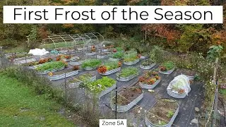 What My Zone 5A Garden Looks like After Frost