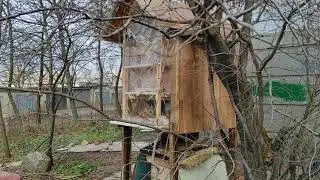 Кошкин дом на Алексеевке.