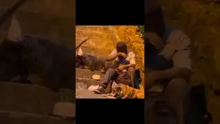 Не смог сдержать слезы 😭… это разрывает сердце!!! Любите и будьте любимы ❤️‍🩹   #собаки #любовь