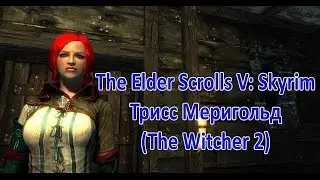 Skyrim 5 : Трисс Меригольд в поисках Белго флакона.