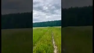3 июля 2024 г.